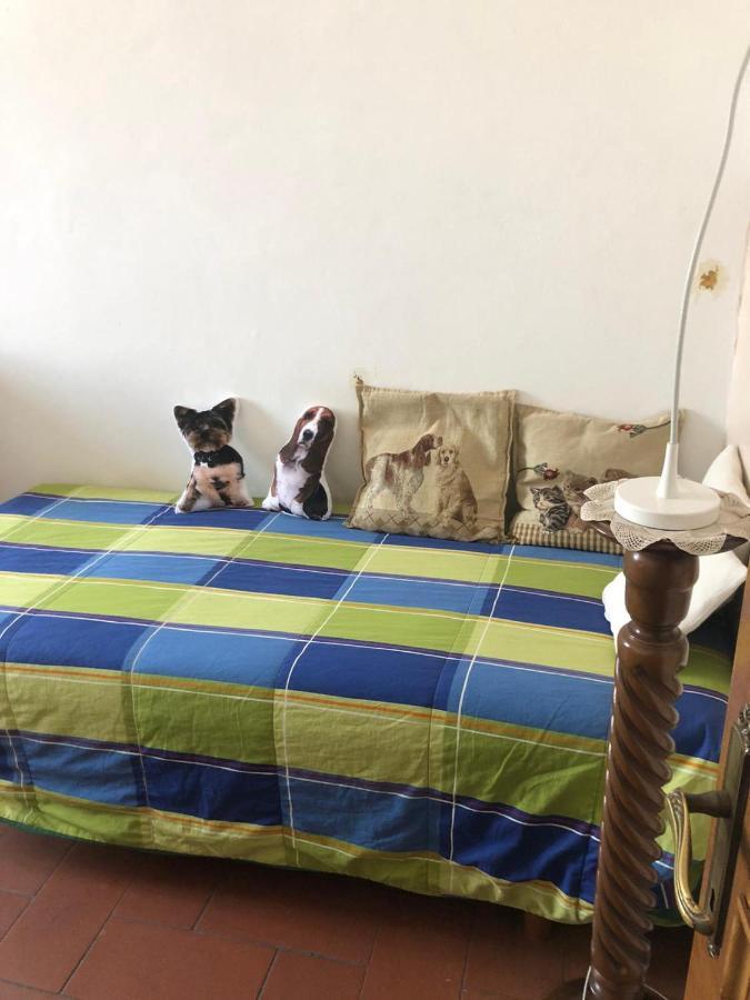 Solo Traveller Bedroom In Homestays Center Habitación en casa particular